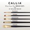 Willow Wolfe Callia Artist All Media Details Brush Set-Assorted